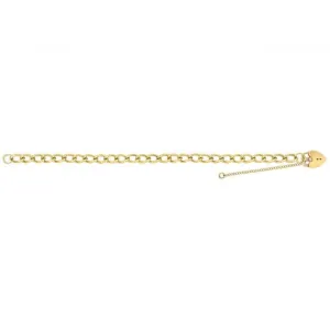 9ct Yellow Gold Ladies Charm Bracelet BR106