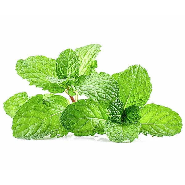 Fresh Thai Mint (Peppermint) Herbs 100g - Imported weekly from Thailand